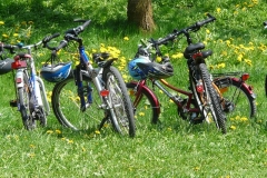 Balade à vélo dans les forêts du Perche