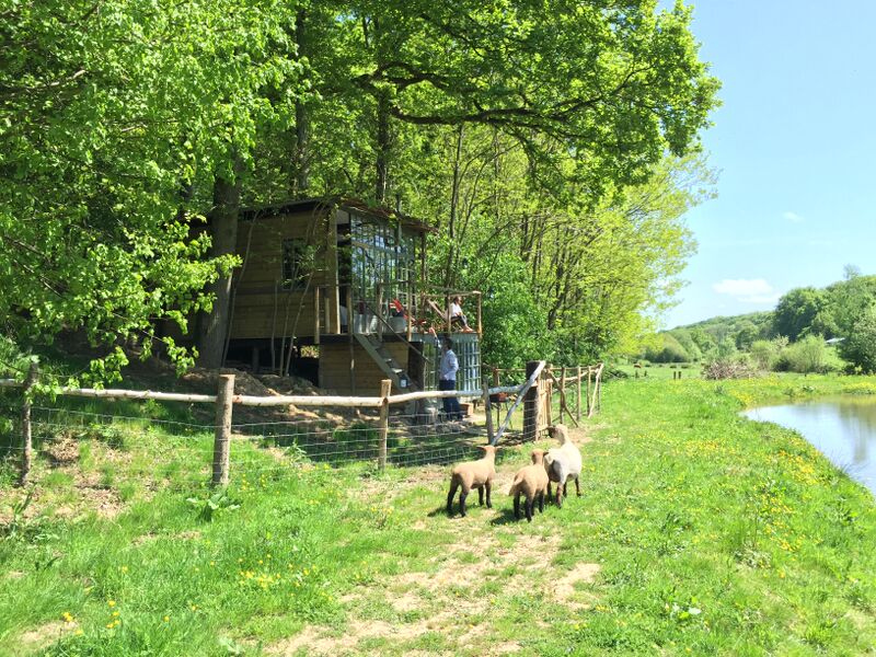 La Cabane Sauvage