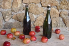 Bouteilles de cidre