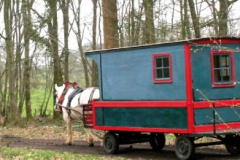 Un percheron et sa roulotte