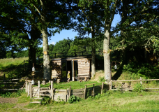 Cabane dans le Perche