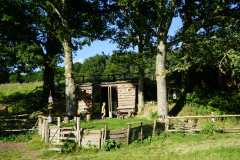 Cabane dans le Perche